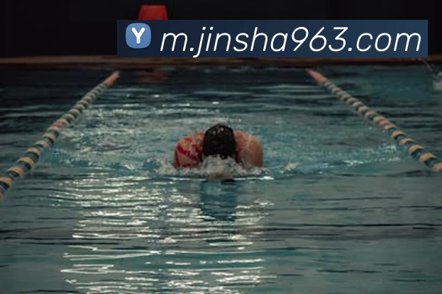 金沙娱乐平台生态图